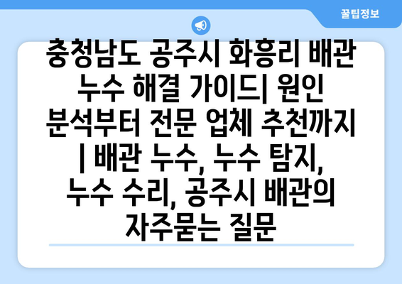 충청남도 공주시 화흥리 배관 누수 해결 가이드| 원인 분석부터 전문 업체 추천까지 | 배관 누수, 누수 탐지, 누수 수리, 공주시 배관