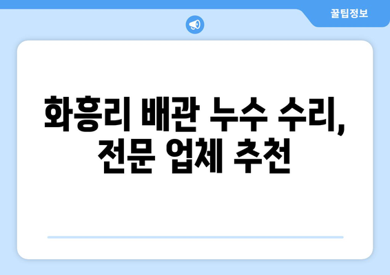 충청남도 공주시 화흥리 배관 누수 해결 가이드| 원인 분석부터 전문 업체 추천까지 | 배관 누수, 누수 탐지, 누수 수리, 공주시 배관