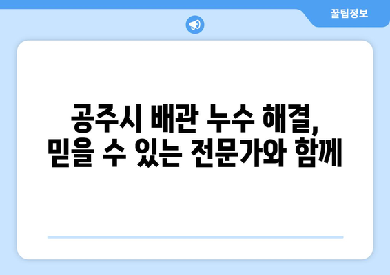 충청남도 공주시 화흥리 배관 누수 해결 가이드| 원인 분석부터 전문 업체 추천까지 | 배관 누수, 누수 탐지, 누수 수리, 공주시 배관